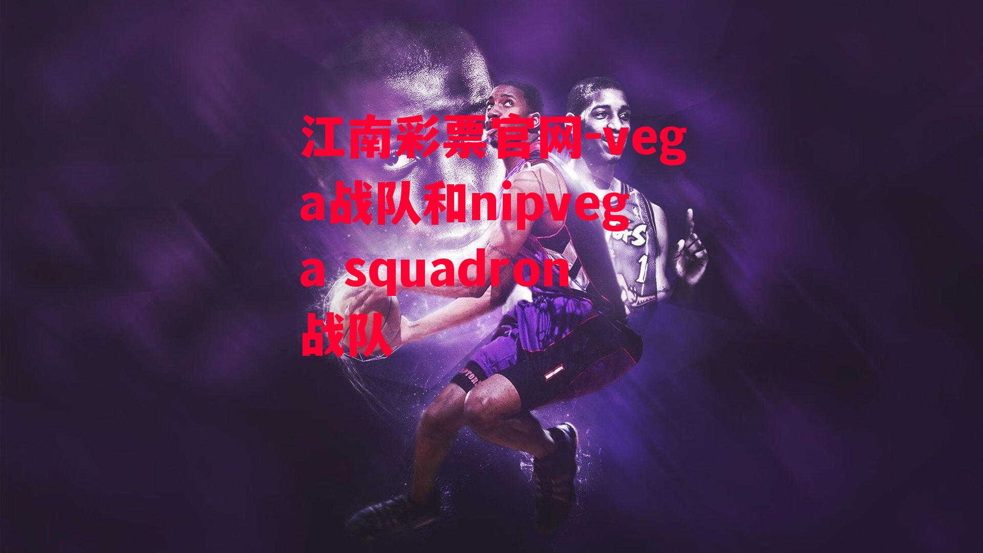 江南彩票官网-vega战队和nipvega squadron战队